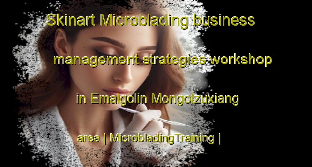 Skinart Microblading business management strategies workshop in Emalgolin Mongolzuxiang area | MicrobladingTraining | MicrobladingClasses | SkinartTraining-China